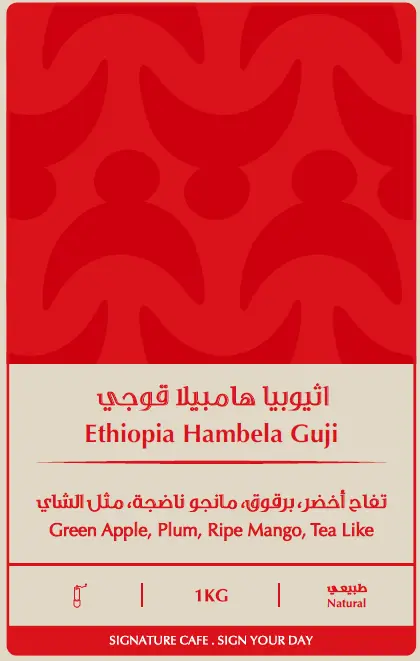 Hambela Guji - Ethiopia  (250G)