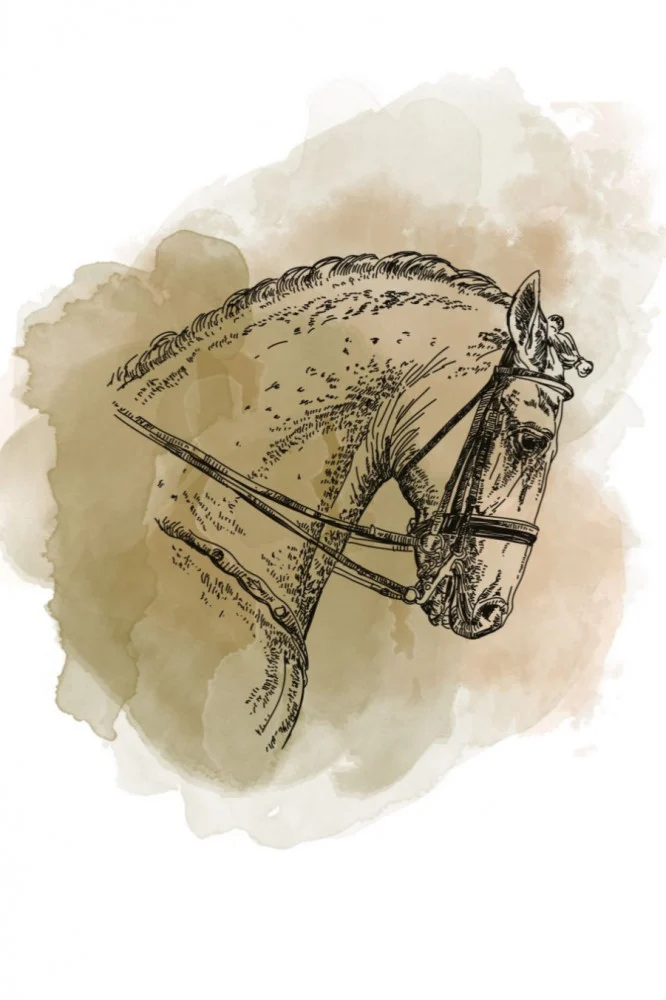 [tcf- Arrogate250] اروقيت -كولومبيا (٢٥٠ غ)