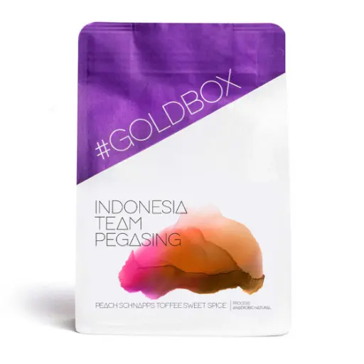 Team Pegasing - Indonesia 